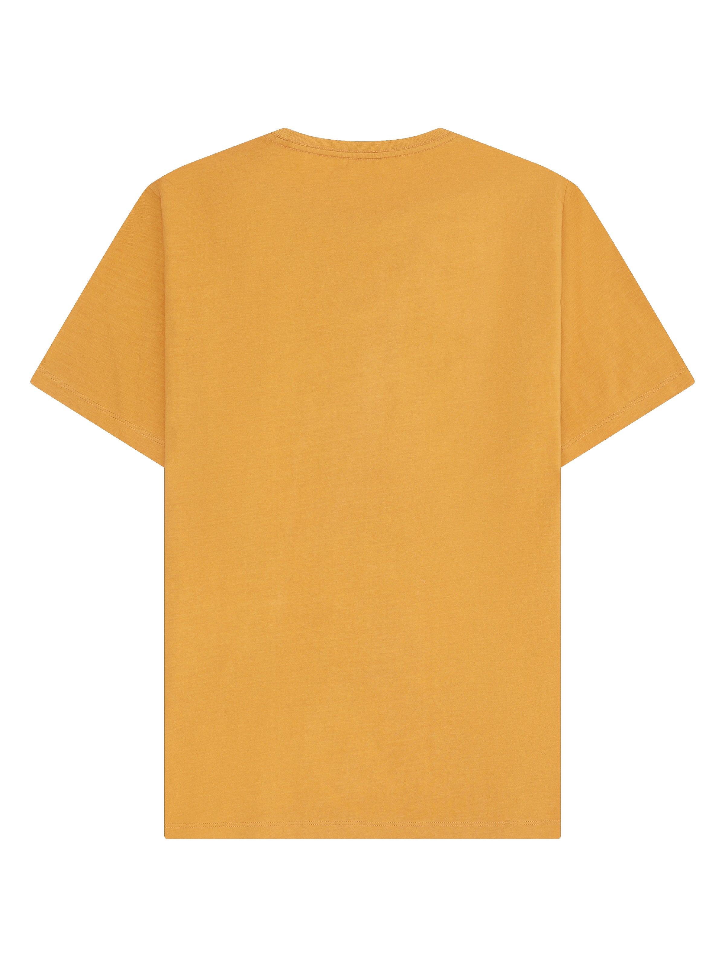 Basic T-Shirt aus Bio-Baumwolle