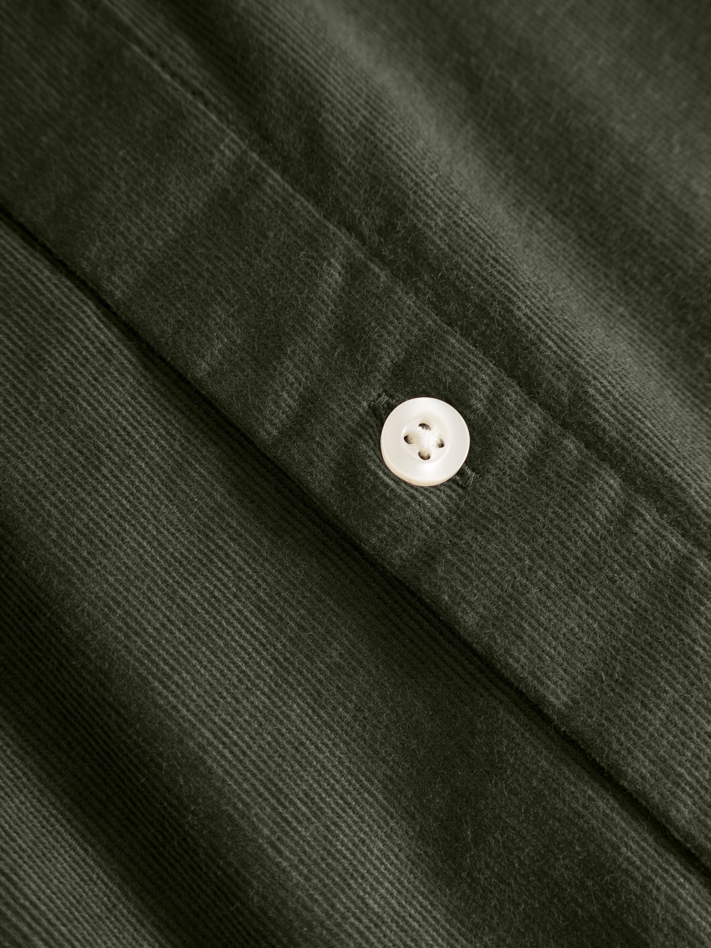 Cord-Hemd CORDUROY aus Bio-Baumwolle